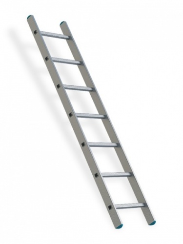 Лестница приставная ♦ 1 секционная 11 ступеней